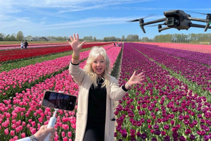 Amsterdam : visite privée du parc de Keukenhof et des champs de tulipes avec prise de vue par drone