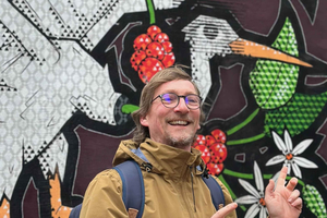 The Hague: Guided visit in French, combining street art and history