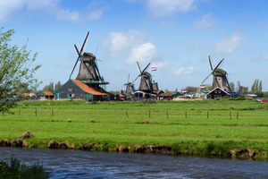 Windmills, Edam, Volendam and Marken Private Tour