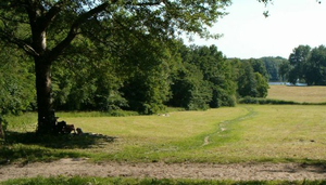 Amsterdamse Bos