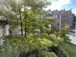 Blossoms City Hotel