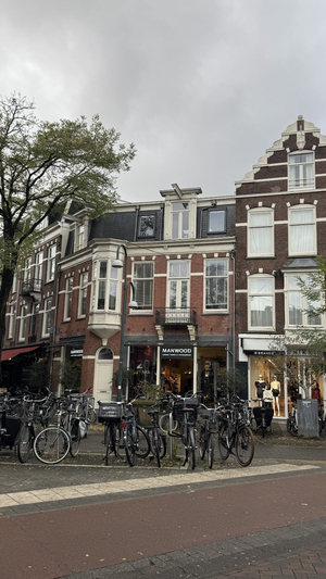 Cornelis Schuytstraat