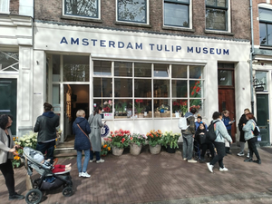 De Twee Zwaantjes