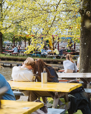 Hannekes Boom