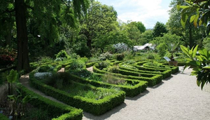 Hortus Botanicus