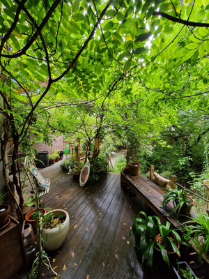 Mahara Holistic Lifestyle
