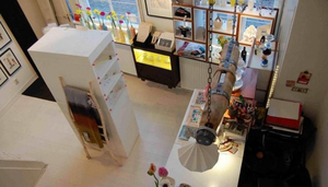Mini Shopping Center of Cool