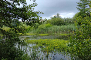 Dagstur i Flandern med Turnhout, Hoogstraten & Kasterlee