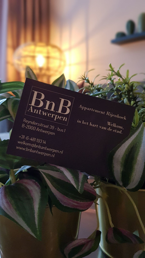 BnB Antwerp - Welkom in het hart van de stad