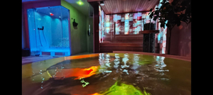 Privé Sauna Lagune & Wellness
