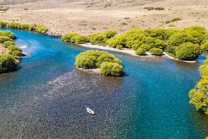 Bariloche: Limay River Fly-Fishing Float Trip