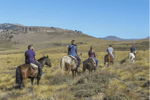 Bariloche: Ridetur i Patagonia med lunsj og henting