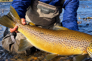 Bariloche, privates Angeln im Fluss LimayEscSur