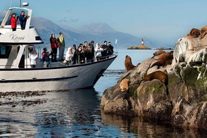 Beagle Channel on yacht with minitrekking