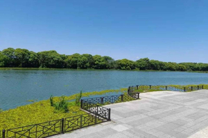 Buenos Aires - Costanera Sur: Natur & Landschaften | Privater Spaziergang |