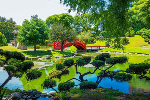 Buenos Aires: tour privato del Giardino giapponese e del Giardino botanico