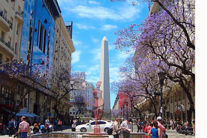 Buenos Aires: City Tour com guia local especializado