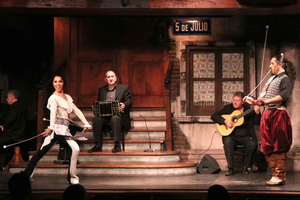 Buenos Aires: Tango and Folklore Show with Dinner