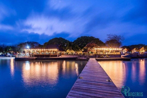 Buenos Aires: Tour VIP, Delta del Tigre con pranzo gourmet sull'Isola del Riposo