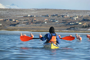 Calafate: Kajakfahren auf dem Lago Argentino mit Transfer