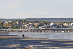 Excursión en crucero por la costa: tour de la ciudad de Puerto Madryn