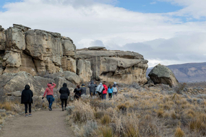 El Calafate: Panoramic Tour with Punta Walichu