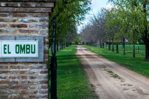 Von Buenos Aires: El Ombú de Areco mit Transfer