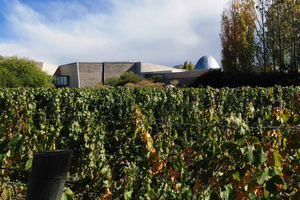 From Mendoza: Zuccardi Winery Private Tour with Lunch