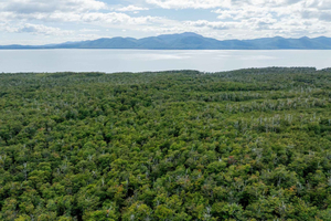 From Ushuaia: Escondido and Khami Lakes Off-Road Tour