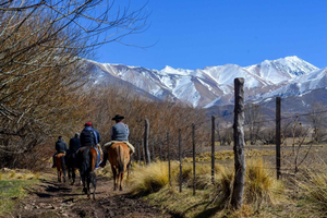 Gaucho Experience: paardrijden, asado en wijn in de Andes.