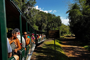 Iguazu Falls: Argentina Tour & Panoramic Flight