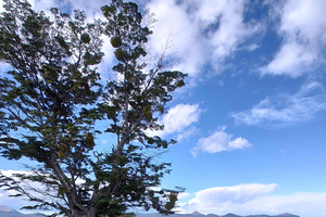 Low Cost Ushuaia Lakes Tour