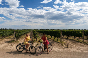 Maipú Mendoza: fietsen en wijn met lunch