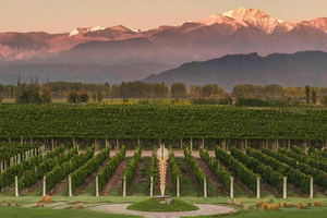 Mendoza: tour por la Bodega Norton con cata de vino