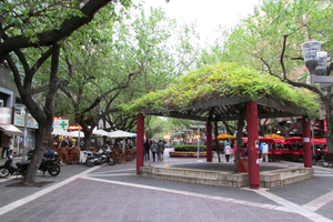 Mendoza: excursão a pé pelo centro da cidade com um guia local