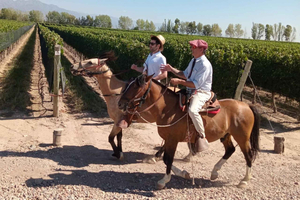 Mendoza: Horseback Riding Through the Vineyards and Tasting
