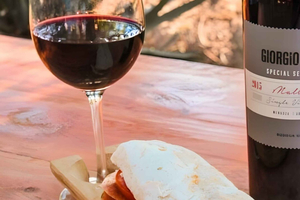 Mendoza: Private executive tour to 2 wineries in Luján de Cuyo