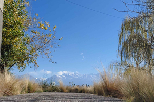 Mendoza: Spa Day with Massage, Lunch, and Winery Tour