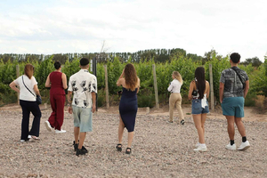 Mendoza: Wine Tasting Tour with Lunch and Private Transport