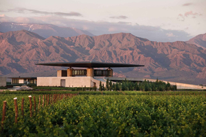 Mendoza: Winetour from Agrelo to Uco Valley +Tasting & Lunch
