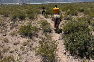 Potrerillos: passeggiata a cavallo al tramonto!