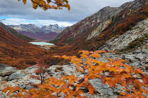 Private Guided Day Hike to Glacier Ojo del Albino