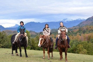 Pucón: Horseback ride to the waterfalls and viewpoint of the Lanín and Quinquilil volcanoes