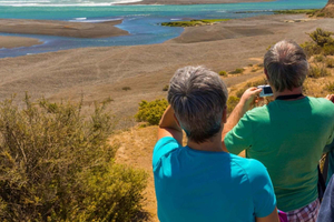 Puerto Madryn: Full Day Peninsula Valdes Experience Tour