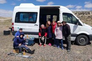 Puerto Madryn: Full-Day Wildlife Safari on Peninsula Valdés