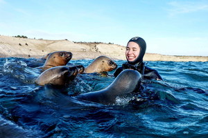 Puerto Madryn: Golfo Nuevo Sea Lion Snorkeling Tour