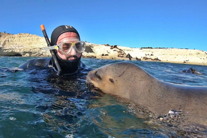 Puerto Madryn: Snorkeling Trip with Sea Lions