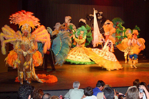 Rafain Palace: Barbecue Dinner Show