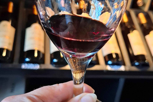 Route 60 Mendoza: Experience at three wineries with food tasting and extra-virgin olive oil