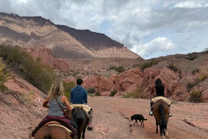 Scenic Horseback Adventure to El Toldito All Levels Welcome
